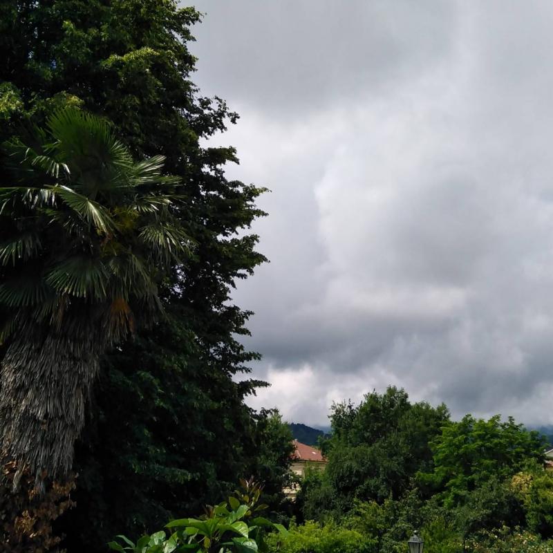 Pipiuccioli a giaveno