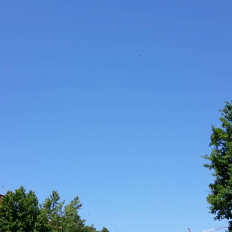 Fotosegnalazione di Zagarolo