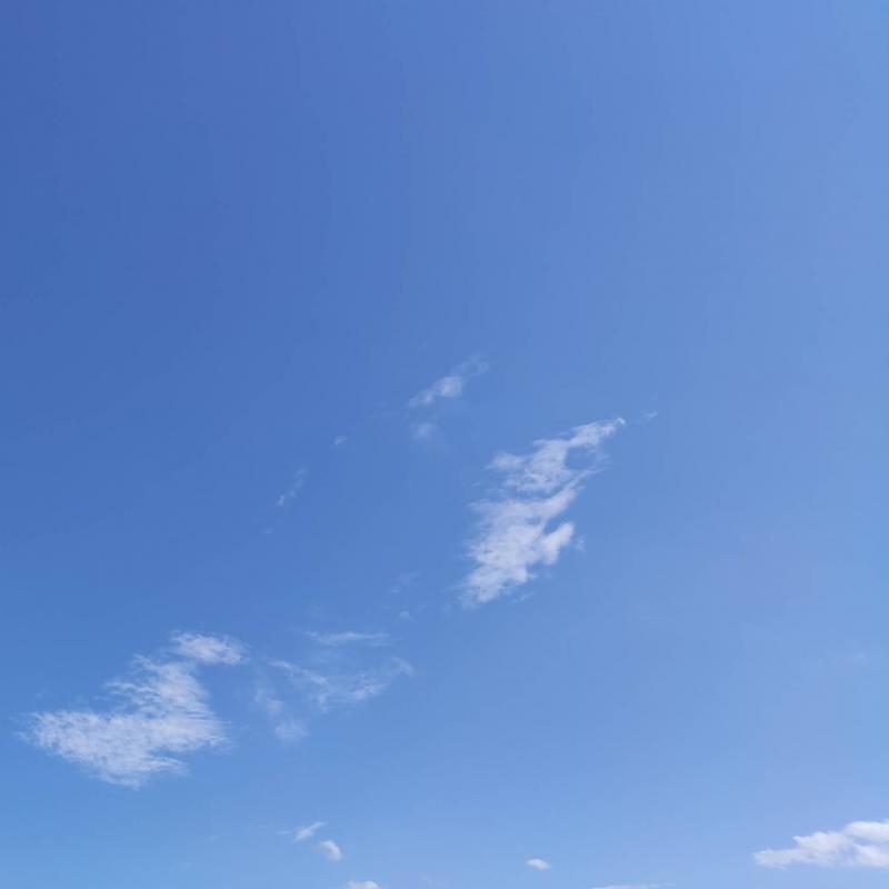 Sunny with east wind