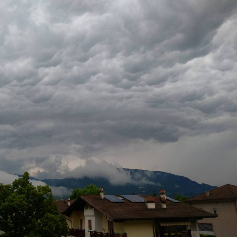 Fotosegnalazione di Mezzocorona