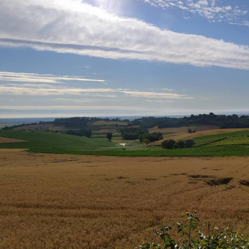 Fotosegnalazione di Terruggia