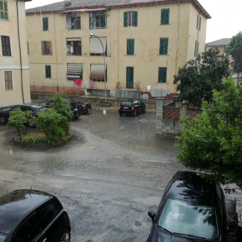 Fotosegnalazione di Pontecorvo