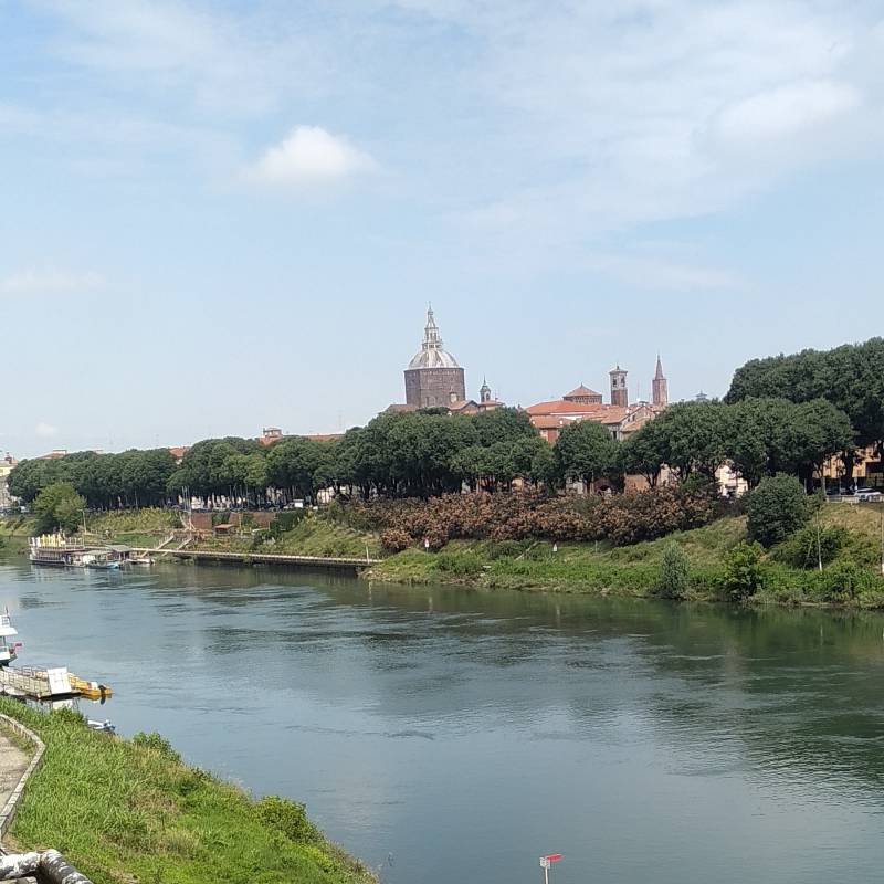 Pavia lungoticino