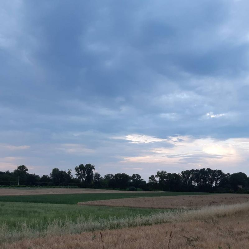 Fotosegnalazione di Alseno