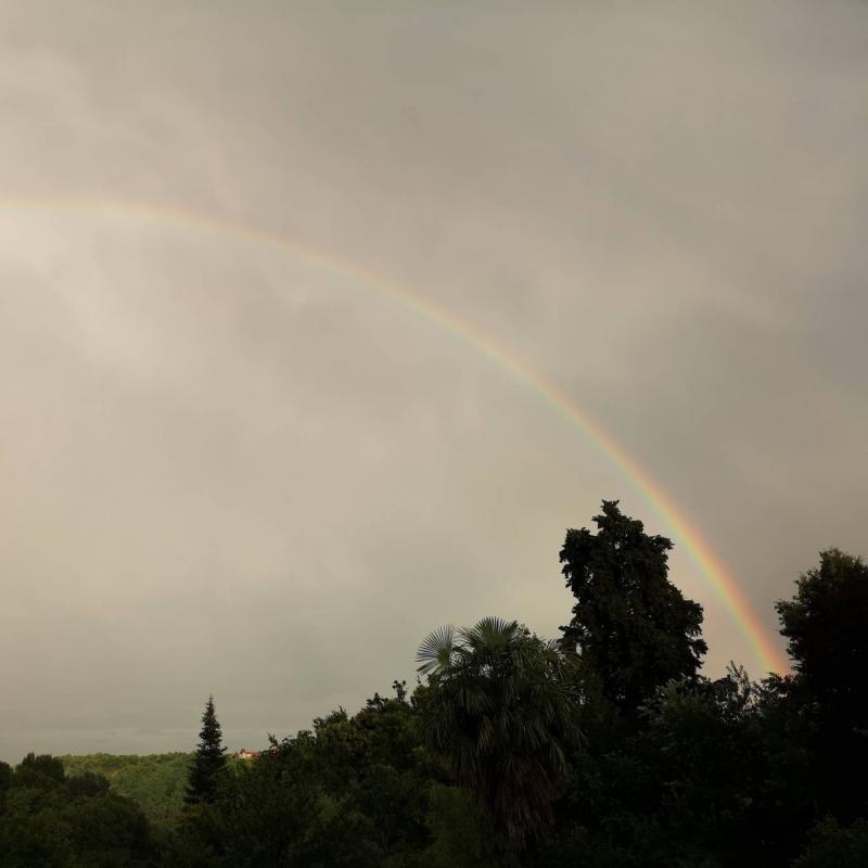 Fotosegnalazione di Barbania