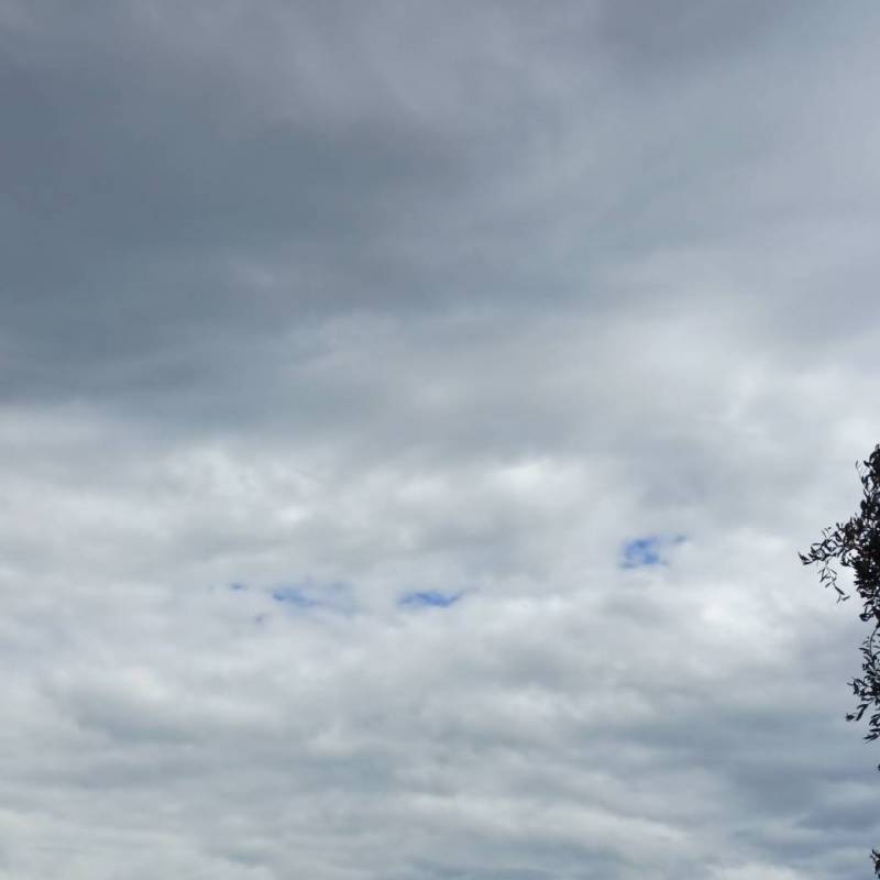 Fotosegnalazione di Mattinata
