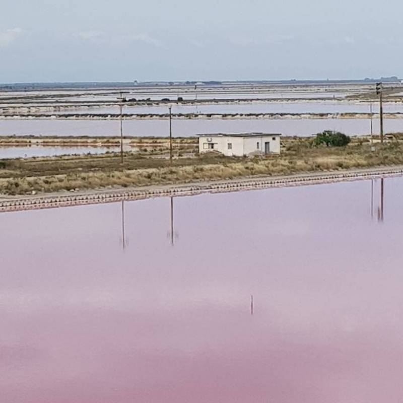 Fotosegnalazione di Margherita di savoia