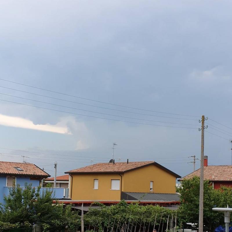 Fotosegnalazione di Zero branco