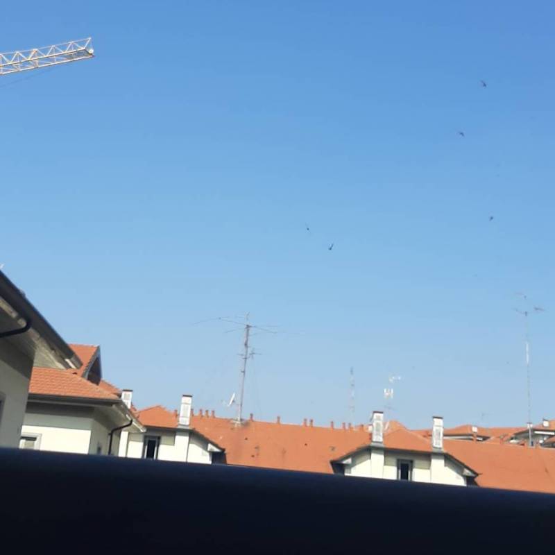 Fotosegnalazione di Milano porta vittoria