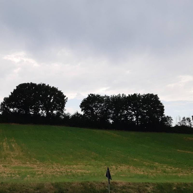 Fotosegnalazione di Alseno
