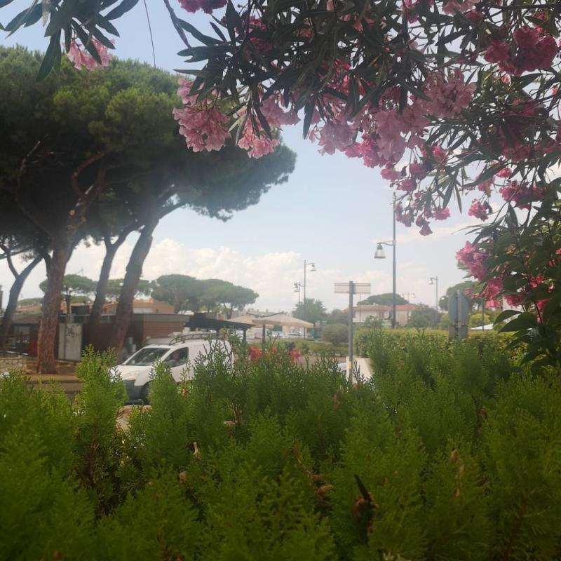 Fotosegnalazione di Montalto di castro