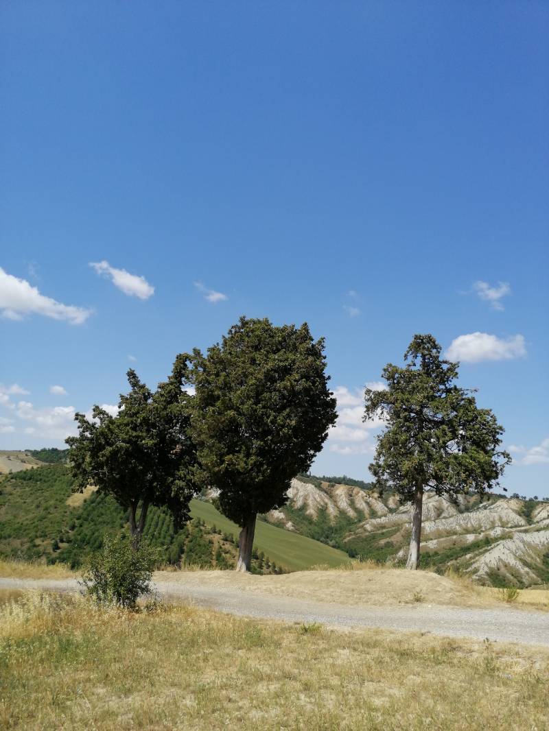Bella giornata di sole.