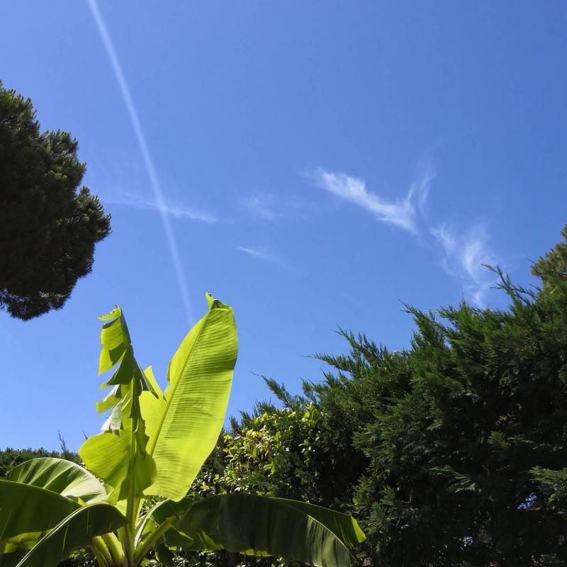 Fotosegnalazione di Lido di spina