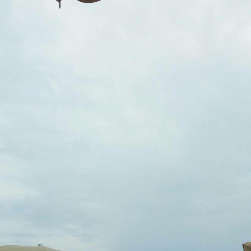Fotosegnalazione di Capo mele