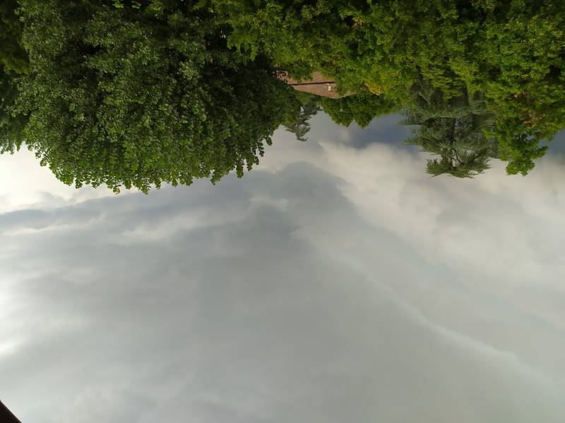 Il cielo sopra a medicina