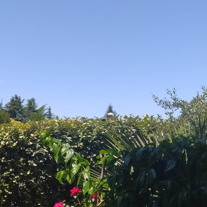 Fotosegnalazione di San mauro pascoli