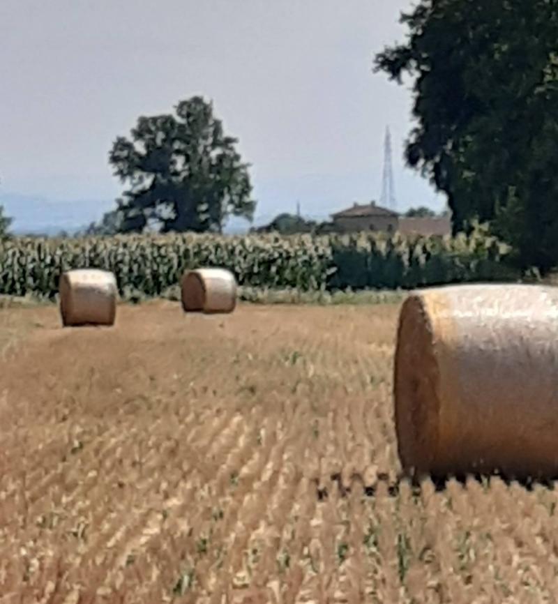 E' finita la mietitura