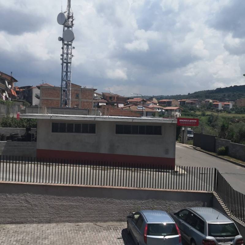 Fotosegnalazione di Laureana di borrello