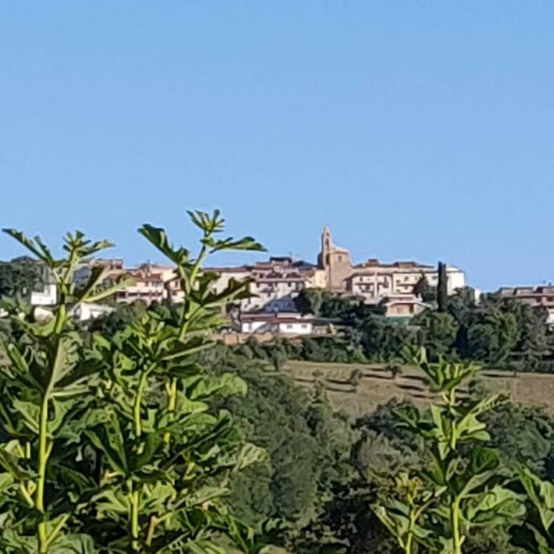 Fotosegnalazione di Castellalto