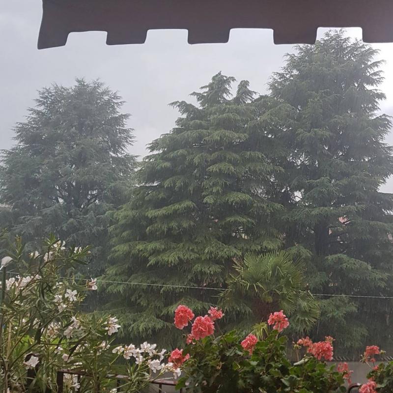 Fotosegnalazione di Nerviano