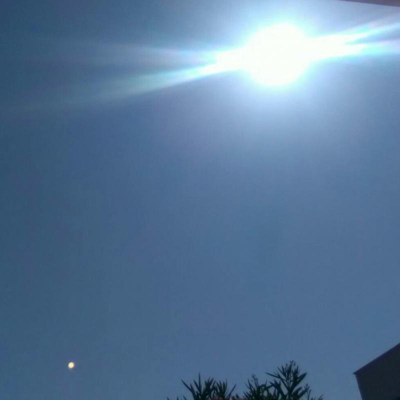 Fotosegnalazione di Rodi garganico