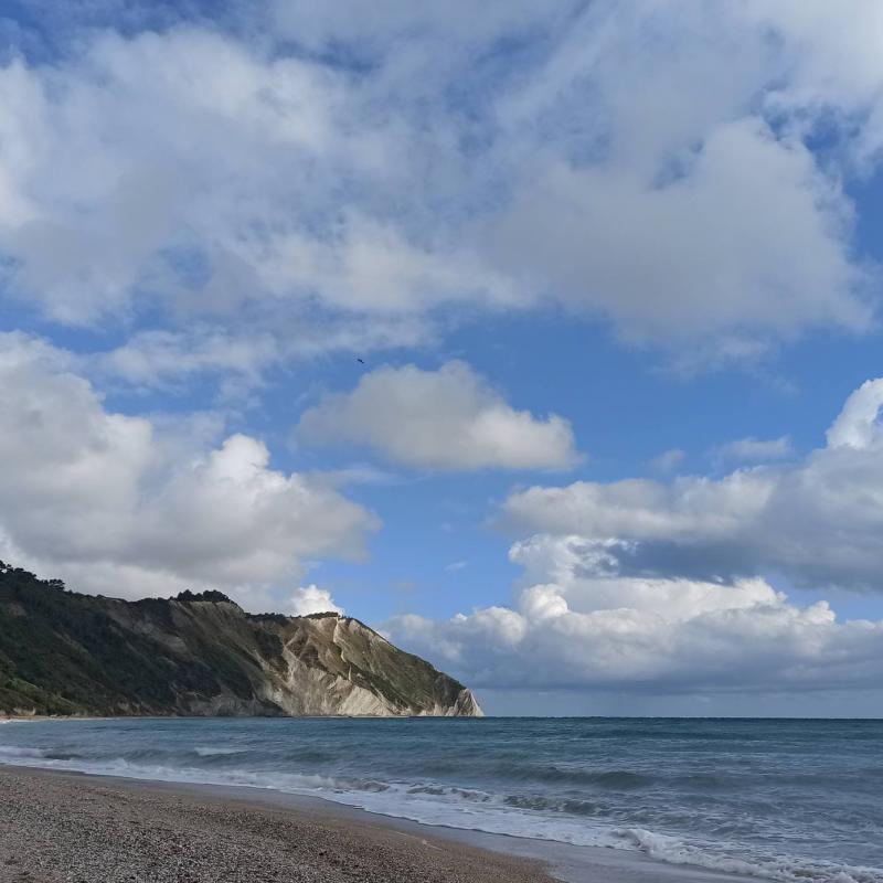 Fotosegnalazione di Portonovo