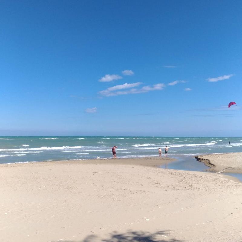 Fotosegnalazione di Cologna spiaggia