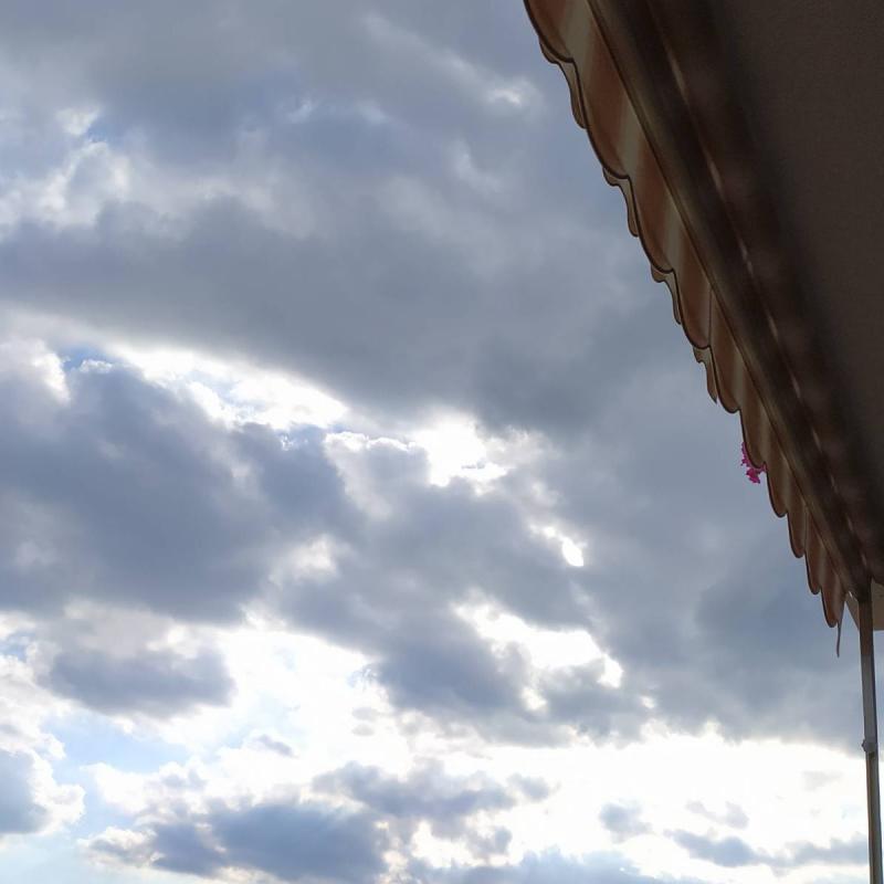 Fotosegnalazione di Terruggia