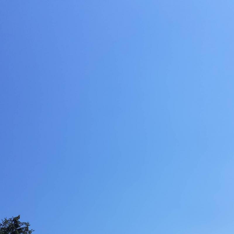 Fotosegnalazione di Malborghetto valbruna