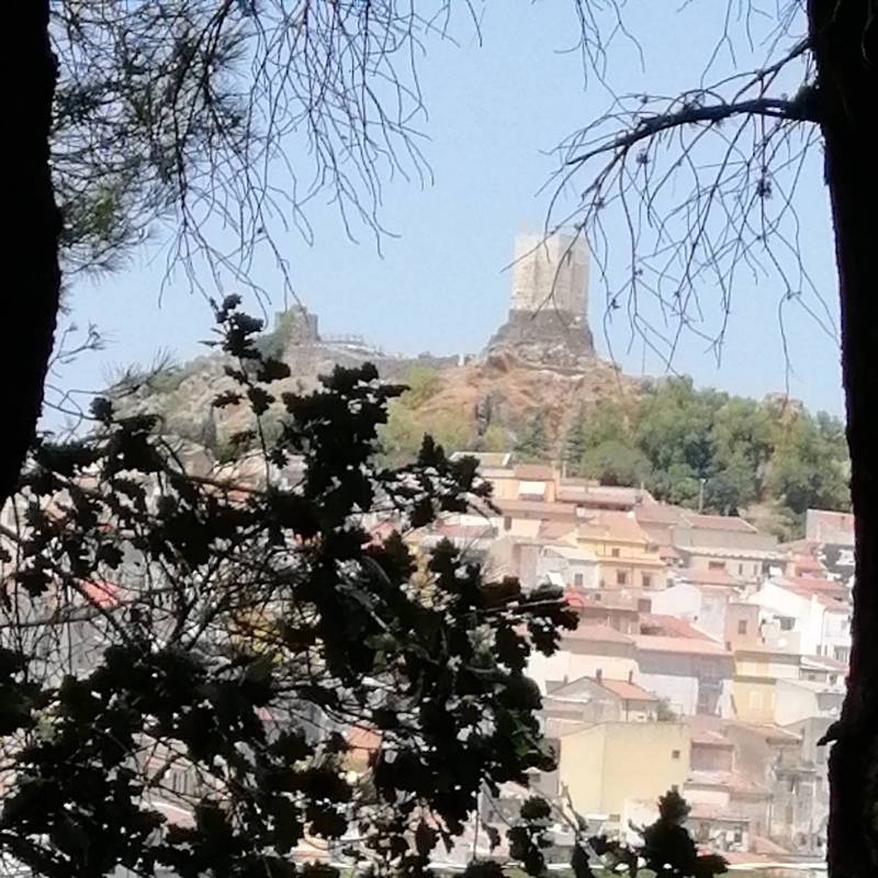 Visto da dentro il bosco