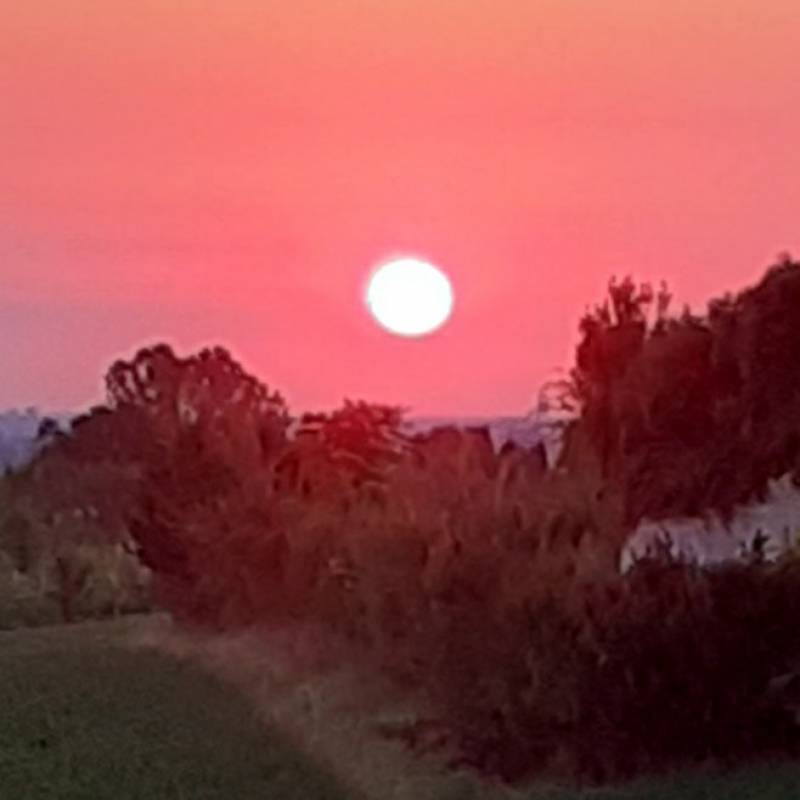 Alba san martino in casola