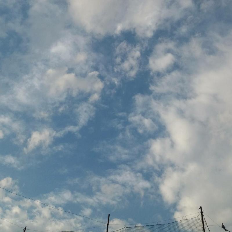 Fotosegnalazione di Orta di atella