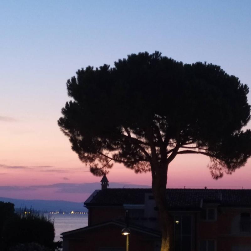Fotosegnalazione di Desenzano del garda