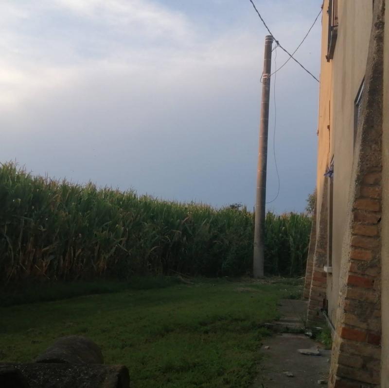 C'e' secondo me arriva un temporale abbastanza forte