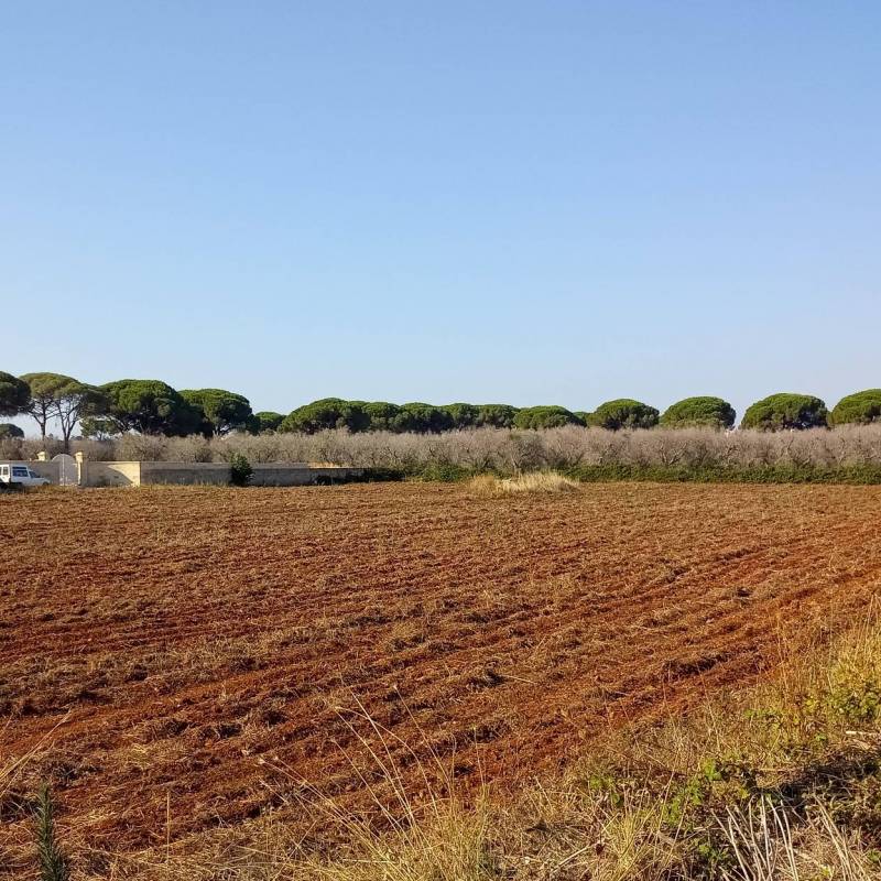 Fotosegnalazione di Miggiano