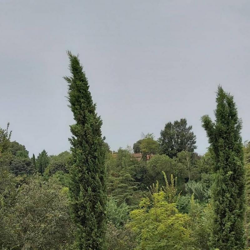 Aspettando la pioggia