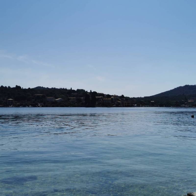 Fotosegnalazione di Sali