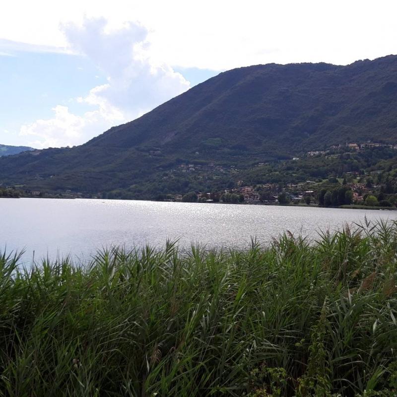 Fotosegnalazione di Endine gaiano