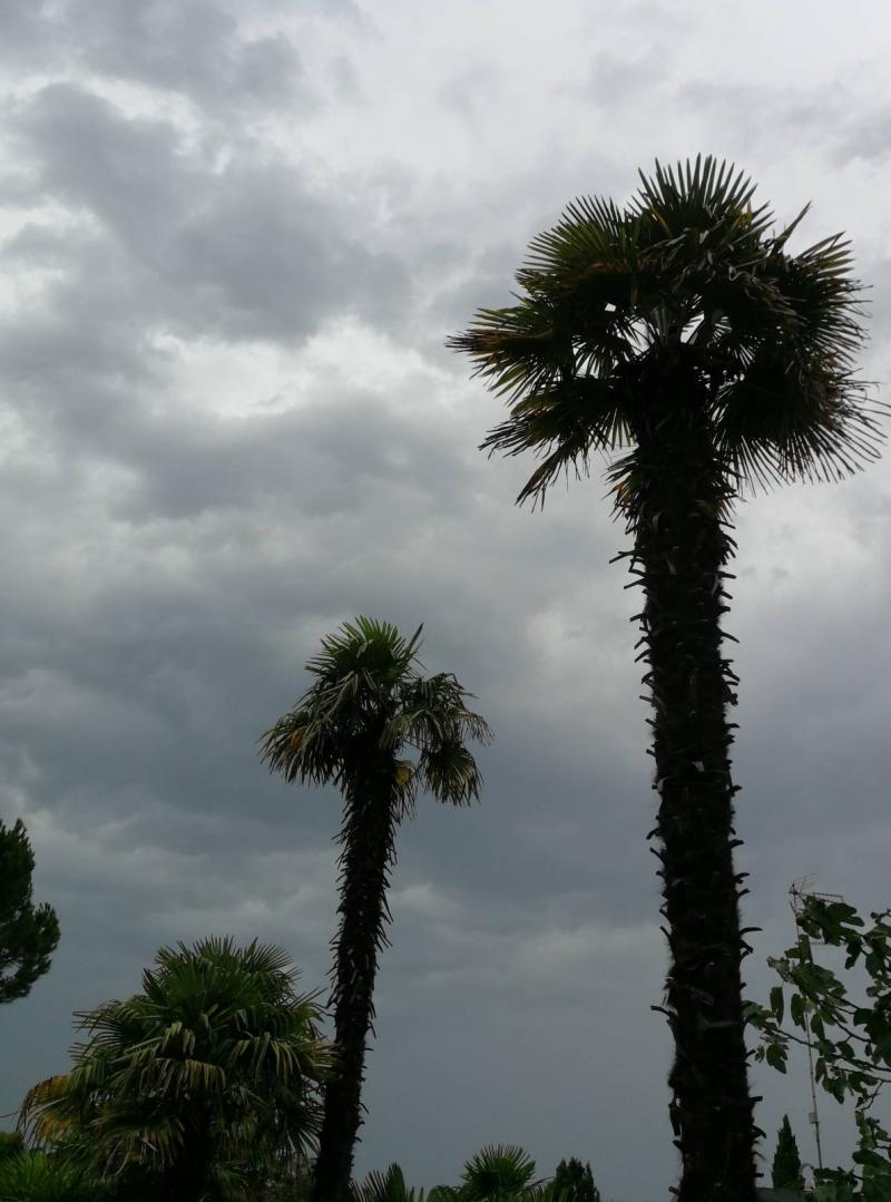 Temporale arrivato...