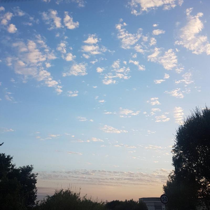 Fotosegnalazione di Marcellina