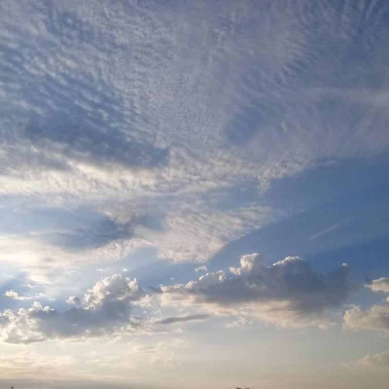 Fotosegnalazione di Legnago
