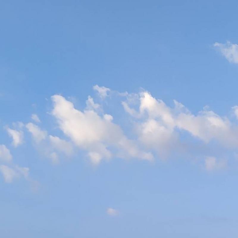 Fotosegnalazione di Tombolo