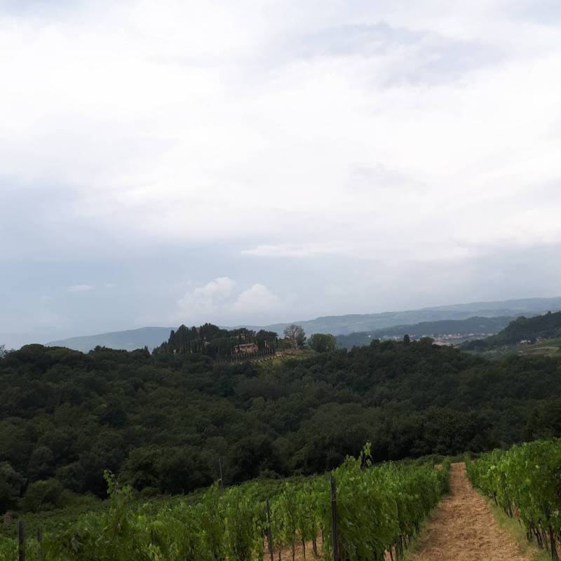 Fotosegnalazione di Barberino val d'elsa