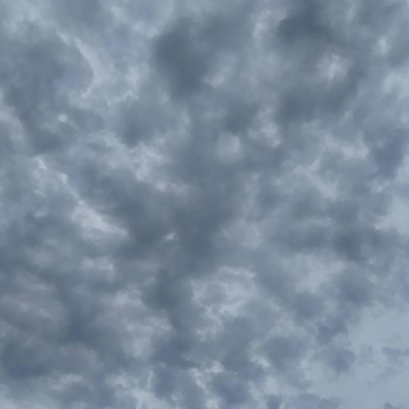 Fotosegnalazione di Tombolo