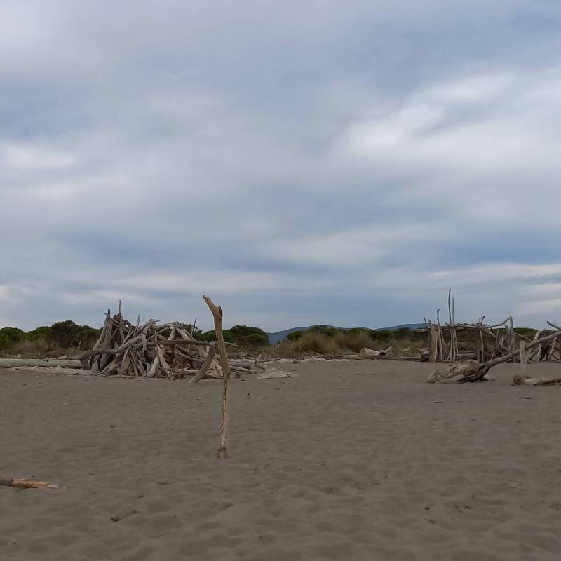 Fotosegnalazione di Marina di grosseto