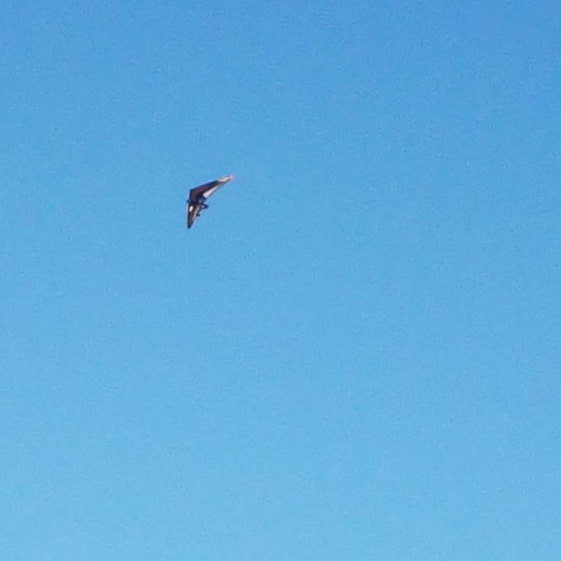 Fotosegnalazione di Palombara sabina