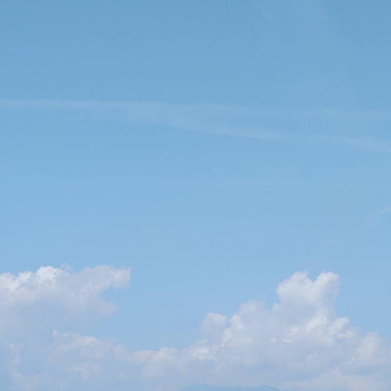 Fotosegnalazione di Grugliasco