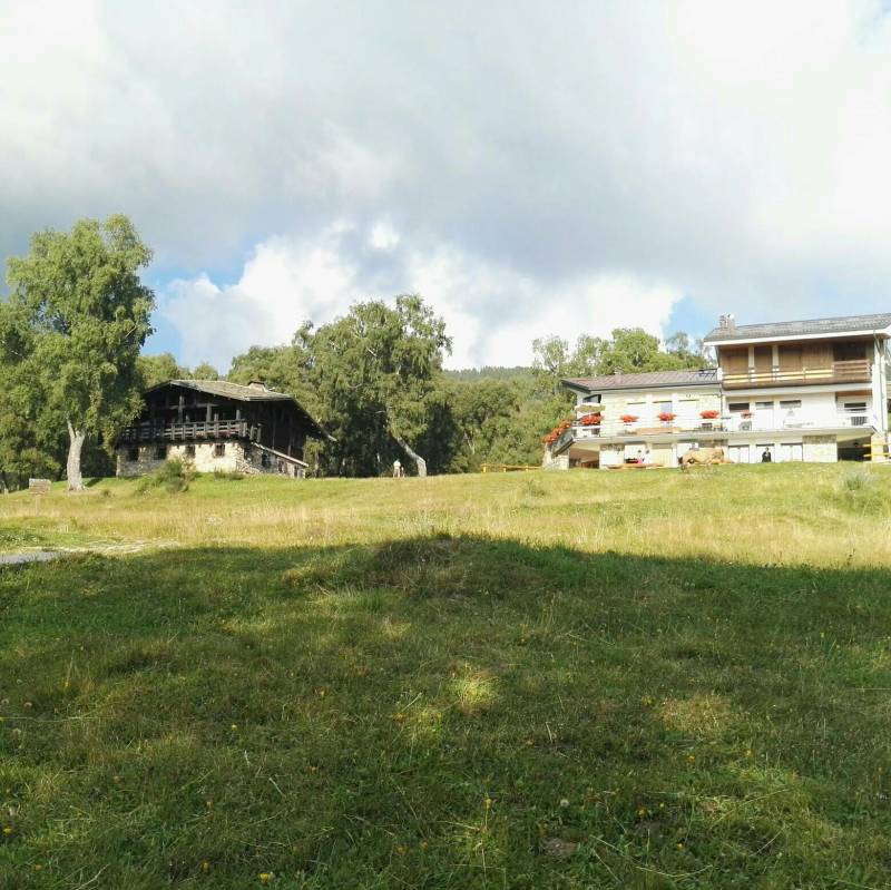 Fotosegnalazione di Pian delle betulle