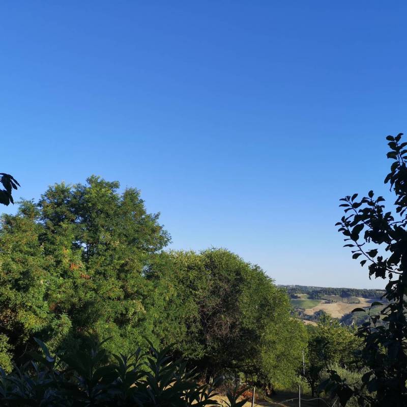 Fotosegnalazione di Acquaviva picena