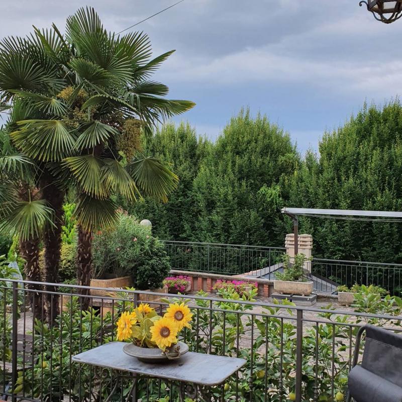 Fotosegnalazione di Castelvetro di modena